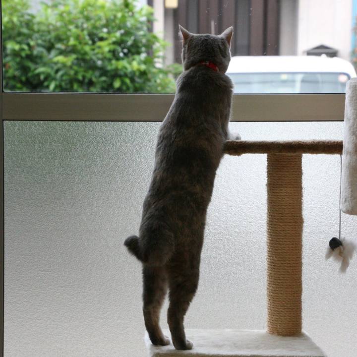 C618552d a3d0 49b2 ab54 b22b75288d1c 1530761143714