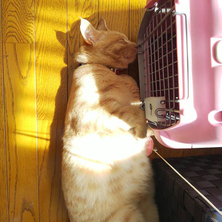 C618dcf9 cead 49e1 a05a 56853043a7a6 1566186644251