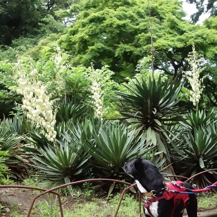 C618e6da b9ed 414f b66e c5476ce8ecac 1590143324746