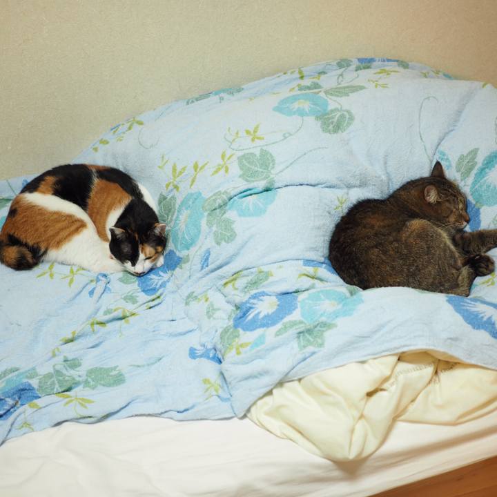 C618f7b1 750f 49c4 b065 f1010e00b29d 1541029469572