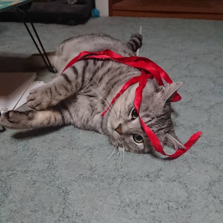 C6192f6a 68df 4a91 a5b5 26a671981386 1575296721027