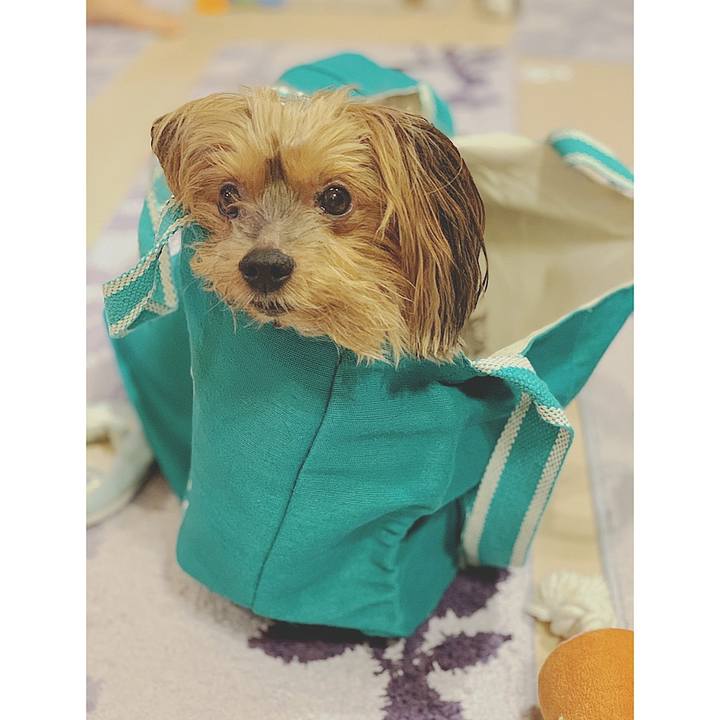 C6197314 d428 461a 8d66 d5851c76c58f 1560729600335