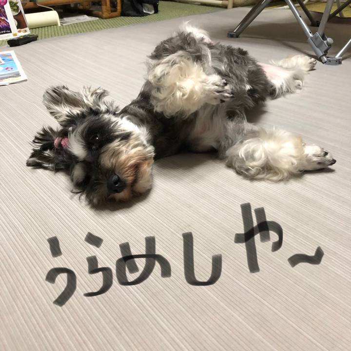 C619afcf 5ad9 4152 b70a 044d5bba2c7e 1568696196070