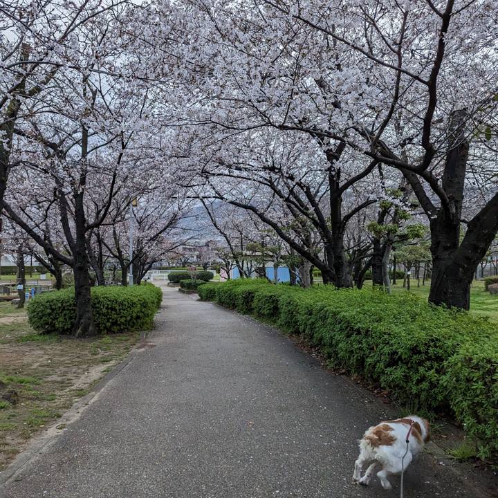 C619c7e0 1a23 47cb af21 f5786520abe1 1679564863565