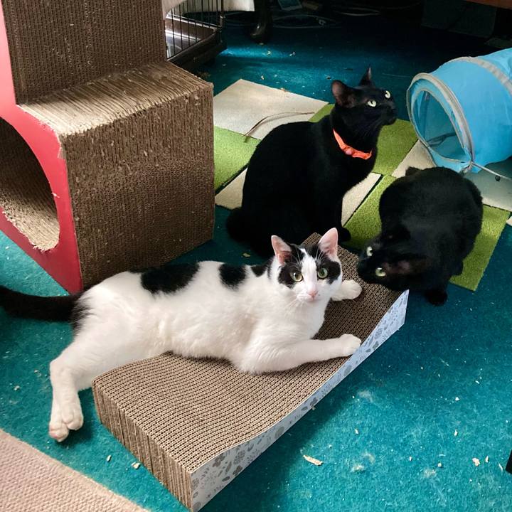 C61a0f14 dc6e 411d af8f fe0b1b15e148 1692425166269