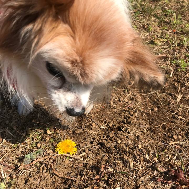 C61a73cc ec1e 477c 8669 0e78e7508a20 1518175519614