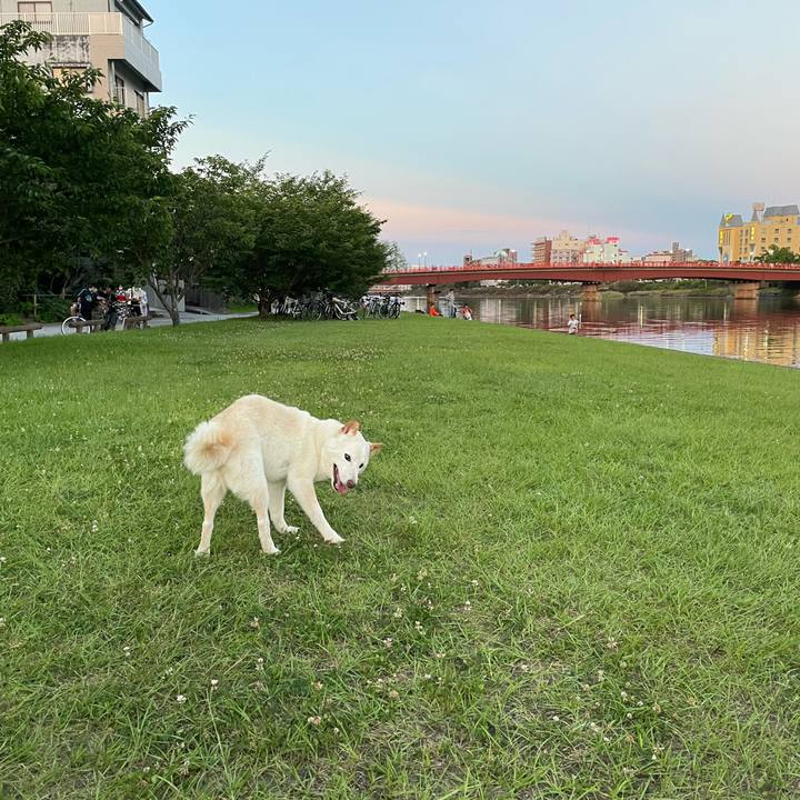 C61af422 6d90 4ad5 bc2c 88363ffdce56 1656596741815