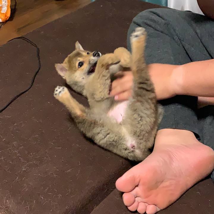 C61b189a 1131 4f9a 829b 71db9807c7c0 1617275905033