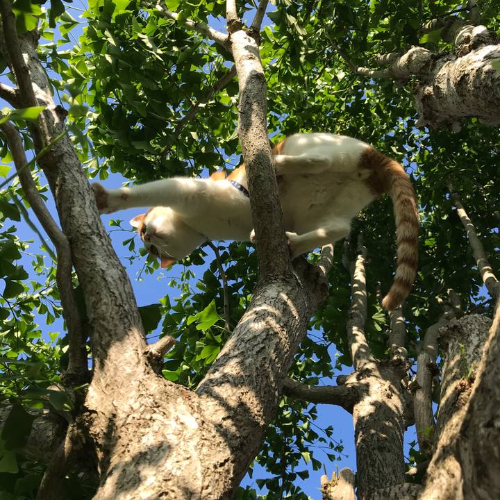 C61b1ba8 985c 442e 8c29 836bd0c08241 1527840537431