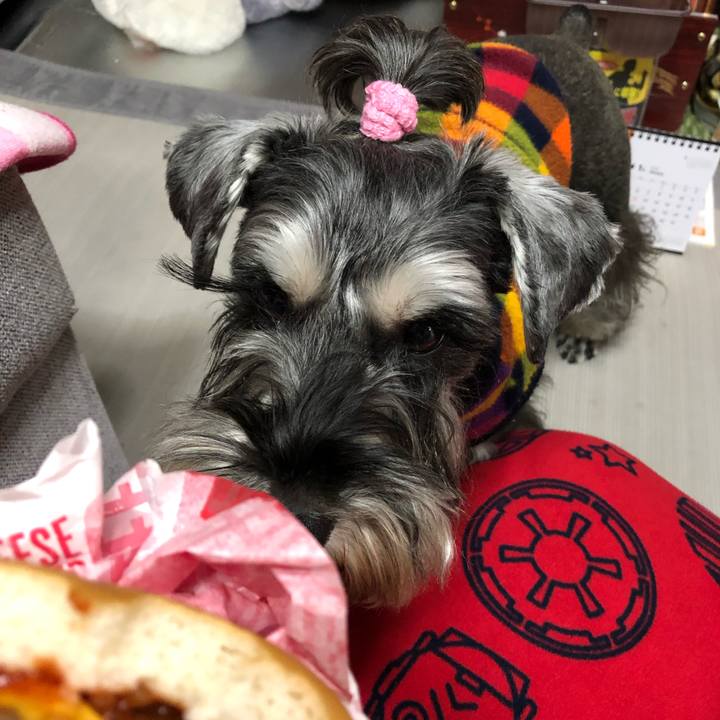 C61b234d 8393 401a a033 731392629301 1578036103347