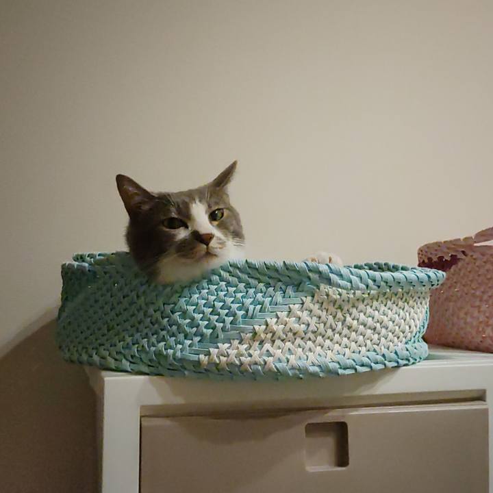 C61b4ae4 284f 48f0 89f0 ea7b7a5cbc9a 1660047614193