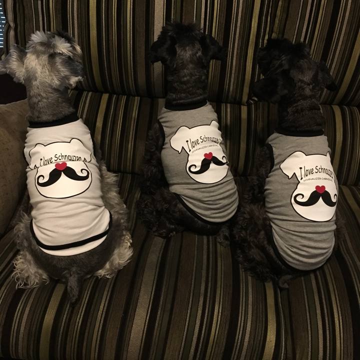 C61b58c2 45ca 4cfb a892 09e1b91227aa 1508649356046