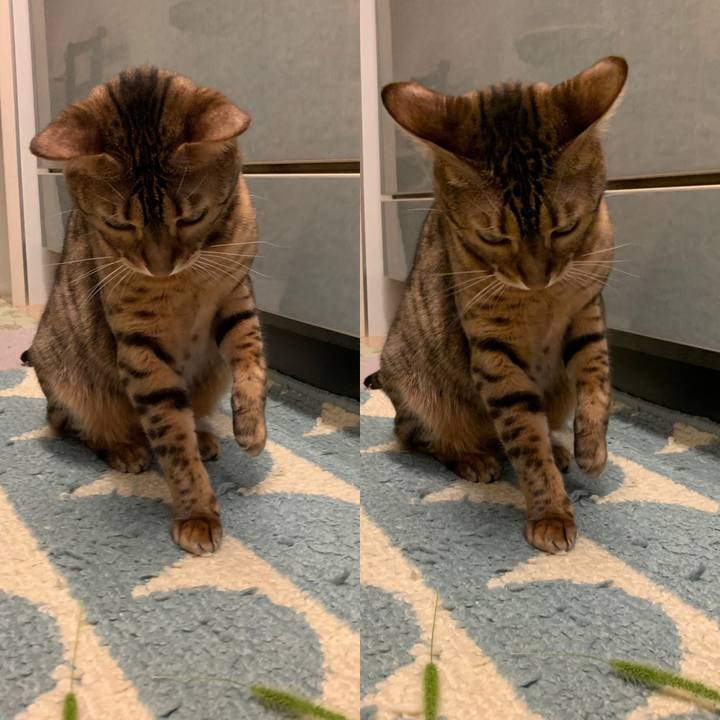 C61b8682 df74 4945 ad9c 2832ff50ea42 1566083646250