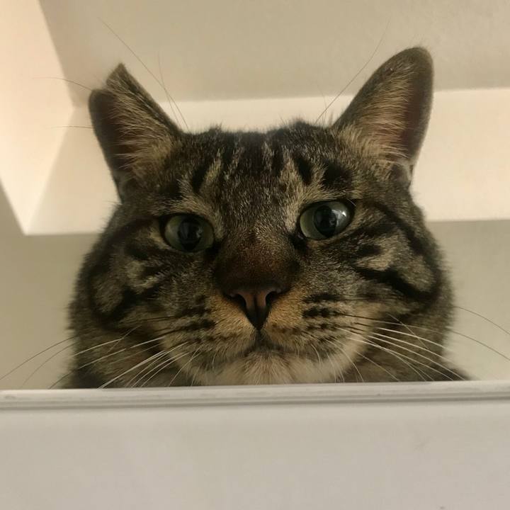 C61ba23c e4dd 4781 9108 6ad5906e6856 1588732417481