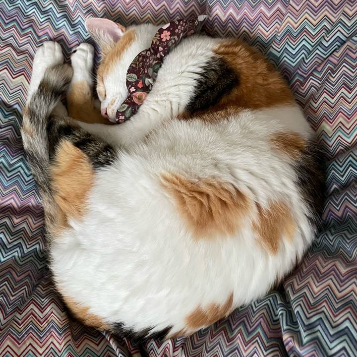 C61babde 7875 41df ba3b 8a440864dffa 1748820761613