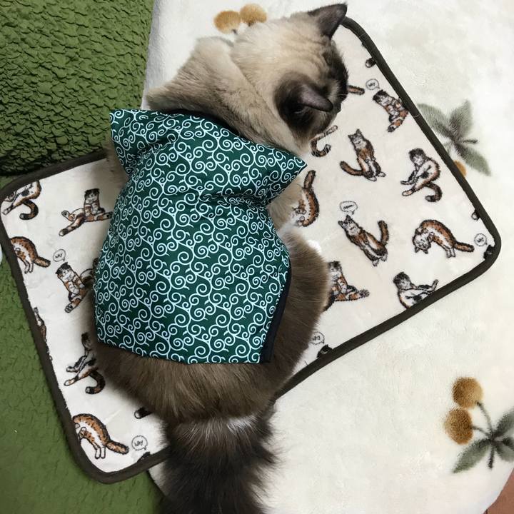 C61bae1b 97f2 4c18 bc6b 3a789a0969d6 1509722804111