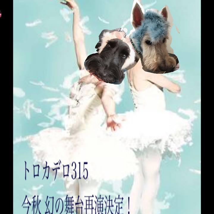 C61bb249 a77e 46e0 8a4a 6b51ed0f7ebb 1570191673644