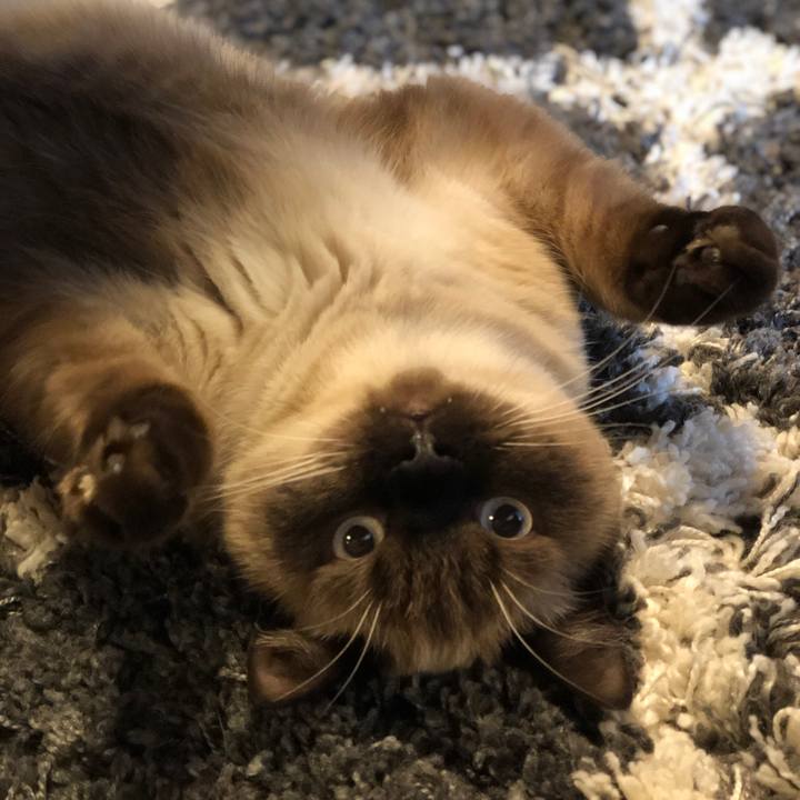 C61bb3d4 f0bd 4d8f 88ba 28c76db51918 1605528696103