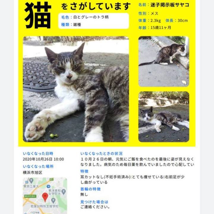 C61bd5f6 4a59 4345 b349 5fc92190e3b8 1605455202098