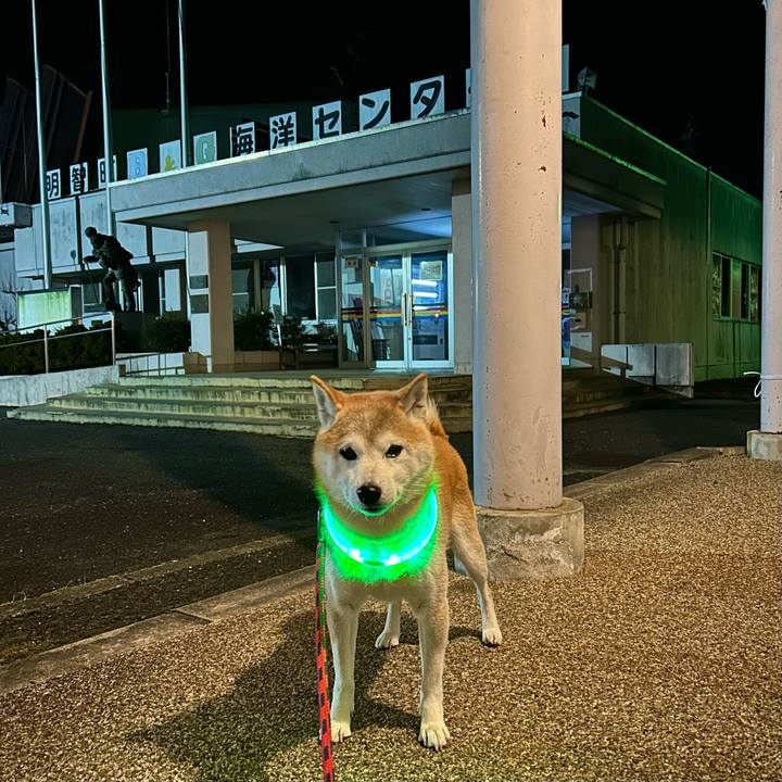 C61c0336 d82e 416a a7ba e39c7ab82dd7 1738235465064