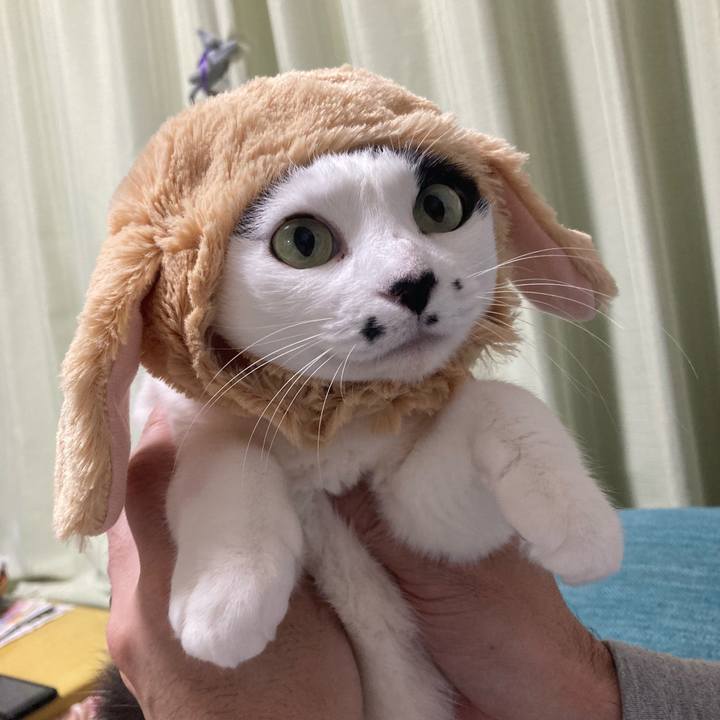 C61c0f70 b95f 40eb 89b1 618145dd07a0 1772187679874