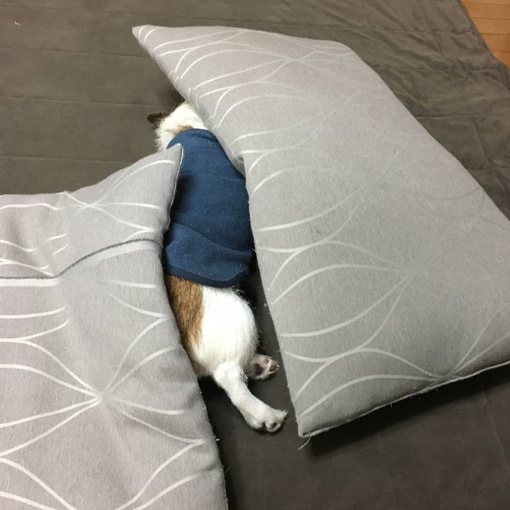 C61c2899 4adc 405c 834c 03f52b2c1bb4 1639092202267