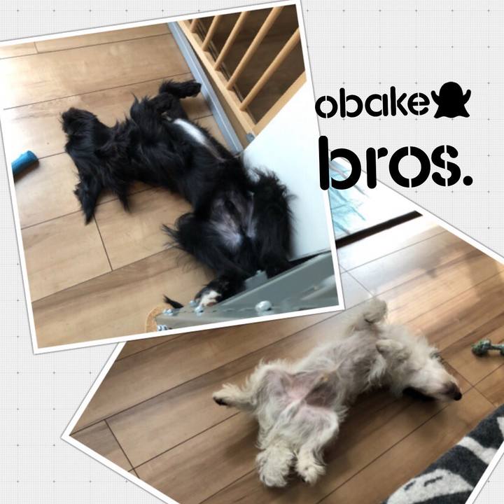 C61c2e3d a4ef 4d79 ab3c 97fecce09ebc 1540940399912