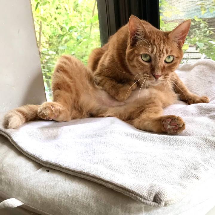 C61c3ebd 1c66 4e34 a6cc 6c6b6882d048 1600147787146