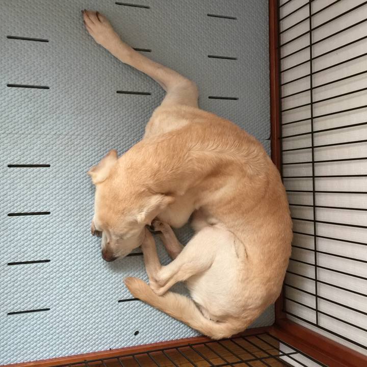 C61c5123 6b2d 4814 8bde dab554ace69c 1537249298753