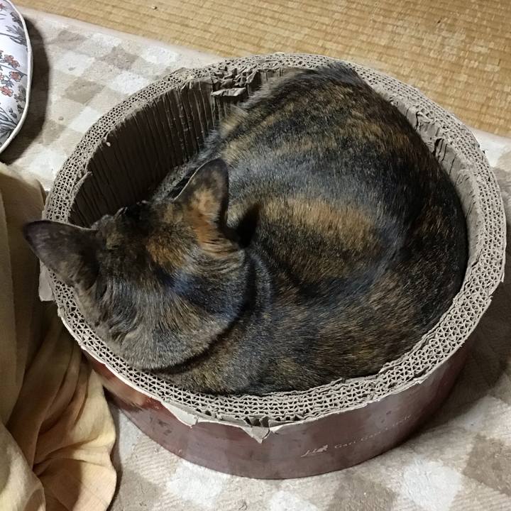 C61c692b 3103 41c9 bfd8 b5ff521ad58f 1703667428168