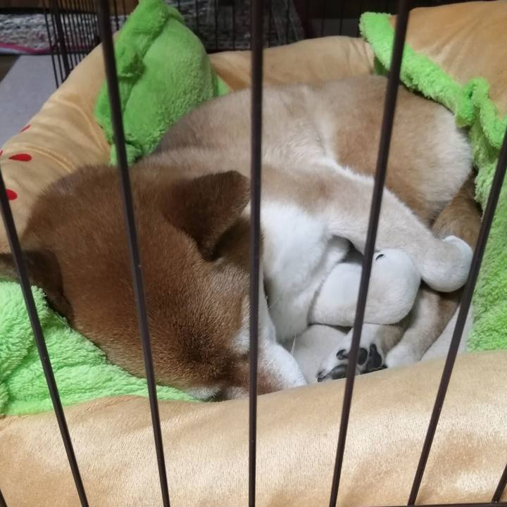 C61c7033 8935 4d4c 9855 a52dac83e48c 1680095258255