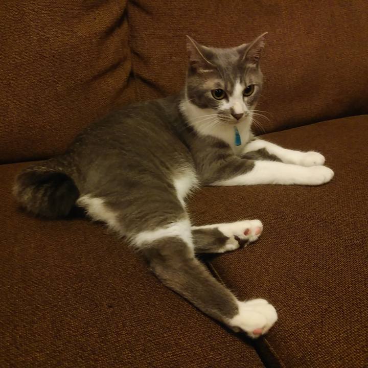 C61c9d7f 5584 46cf 9842 bc564238cc5b 1592232526900