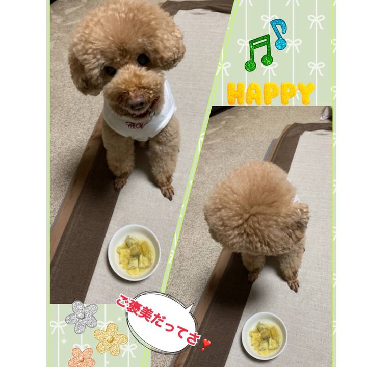 C61cc3fc 958f 4dbd 9c0c 398ea25eb0e4 1546591844888