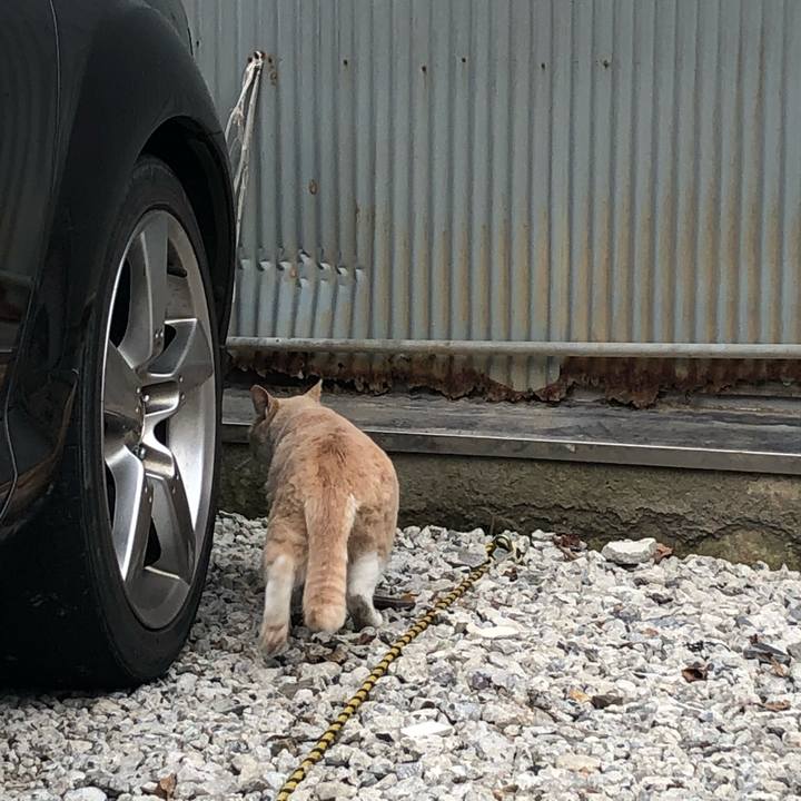 C61ccdb1 3b31 4c2a 9a3c fbfd32d83cf6 1580741686607