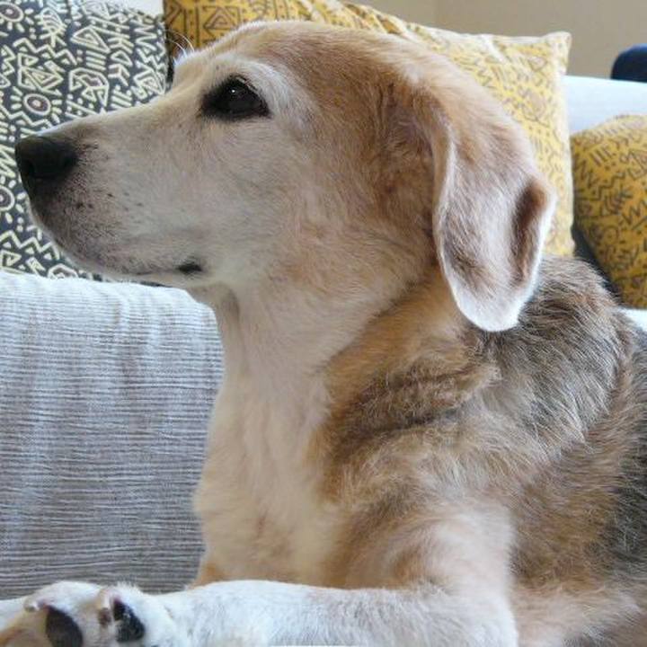 C61ce395 a670 47b0 a1d5 109404a11d20 1692146784388