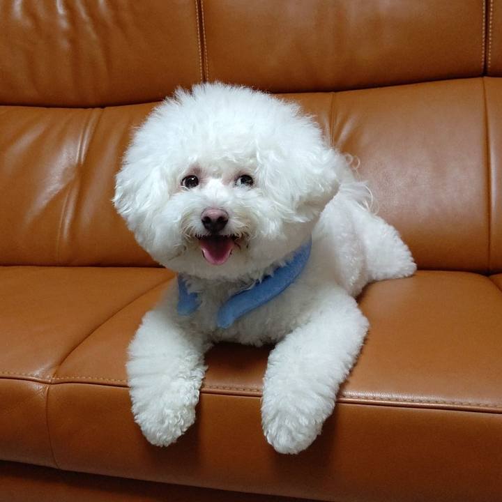 C61ce55d 3f11 425b a04c 668718a5105f 1658490768520