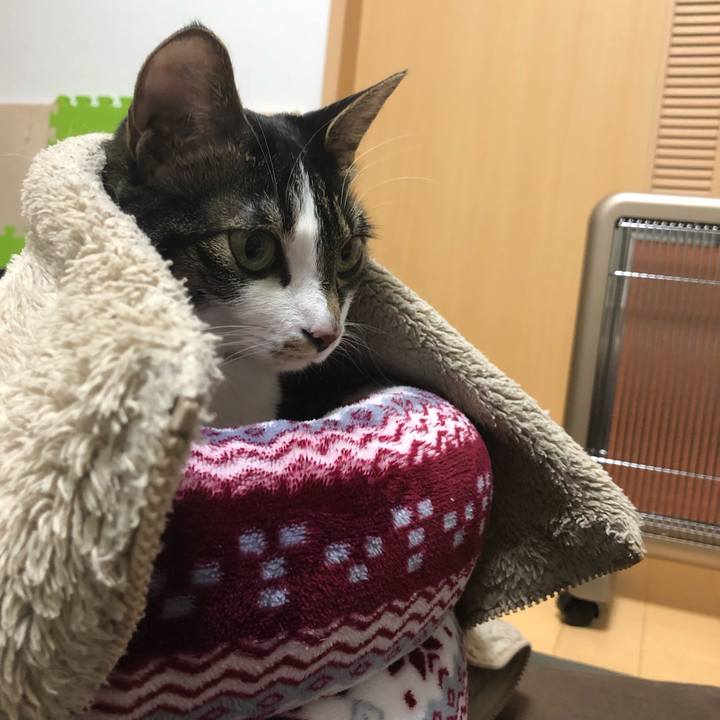 C61cfdf2 4d39 4d7b a775 463243f9a9bc 1547584896393