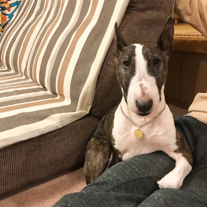 C61d0e32 c944 4edc b7f5 b4c1d0701acb 1512900039308