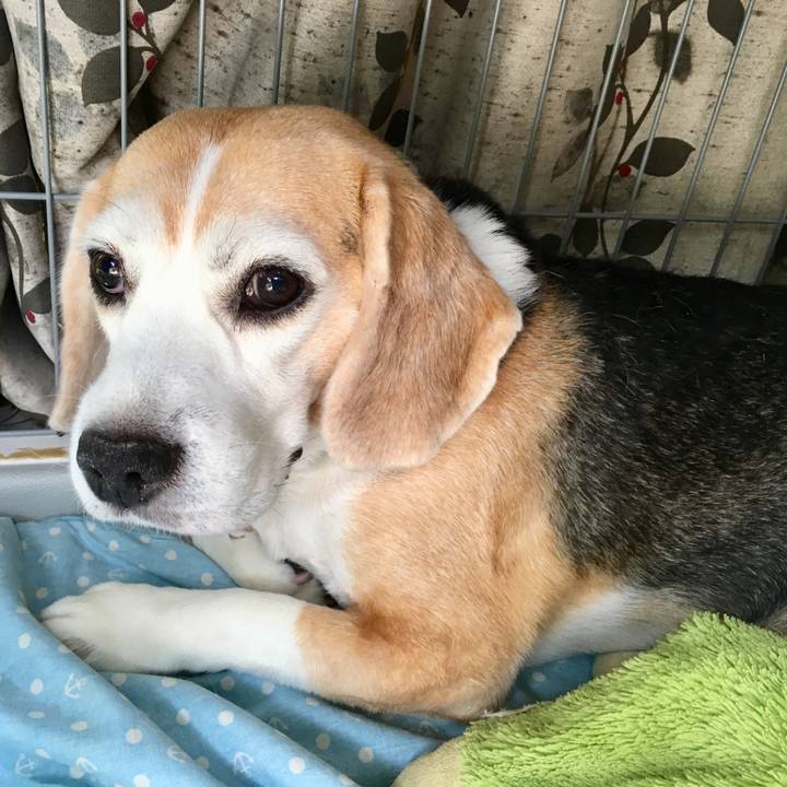 C61d0fbf 20d3 46ff a285 713d4d599d48 1535243286390