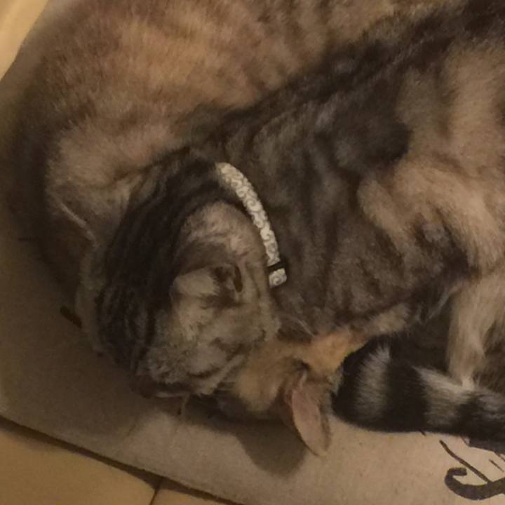 C61d2658 e20a 47c3 a9c8 eace79ae320a 1549049418490