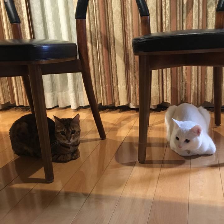 C61d37ba bb59 4ce8 9d55 5bc00bc38832 1520258517606