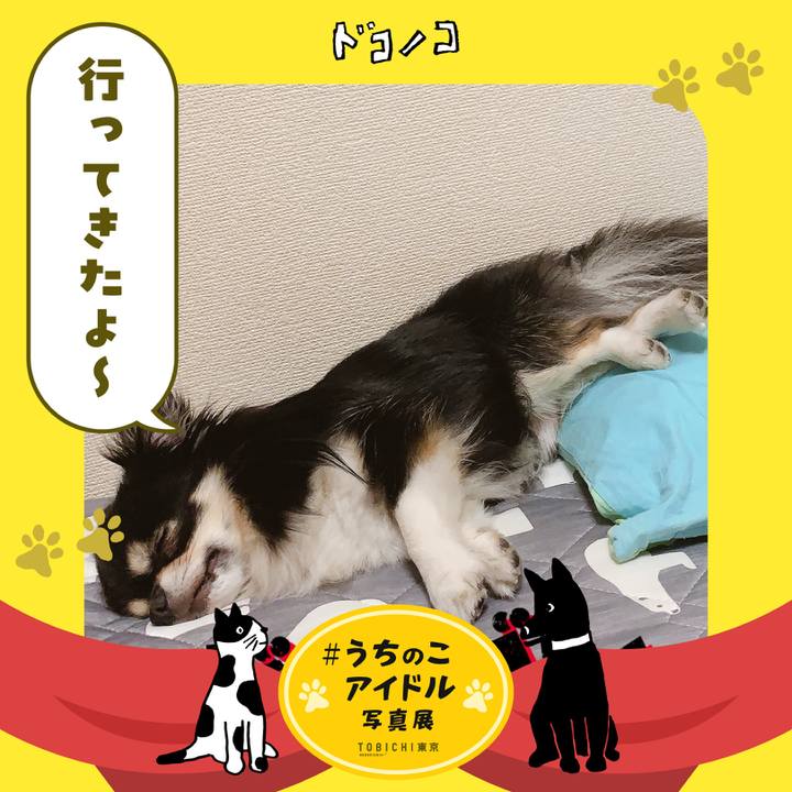 C61d384d 6eaf 46b7 a750 ebbb1e010311 1761478555758