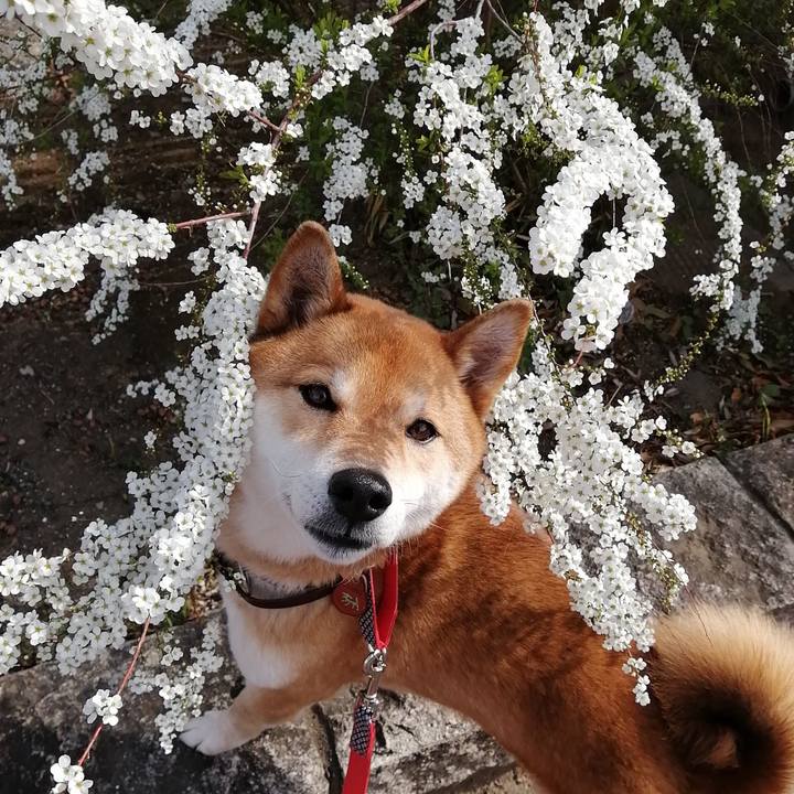 C61d6782 845e 4d0c 8771 99557c4f35a8 1584076175785