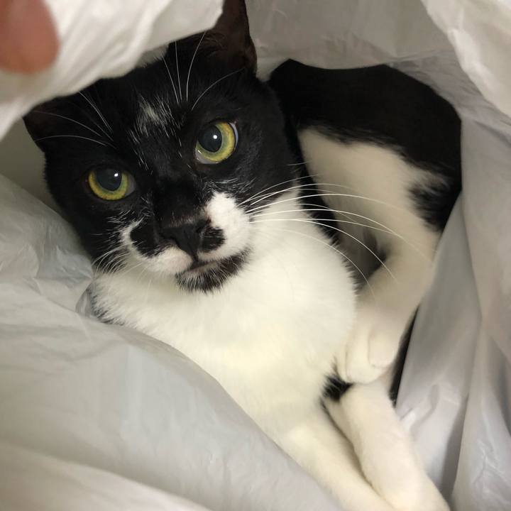 C61d7d02 9126 4c9e 9674 4e423b0f5854 1534173214294