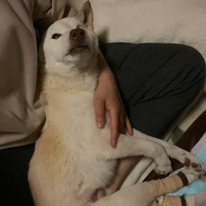 C61d8338 5b7e 4834 b3d9 e51e3b6d70df 1677425571167