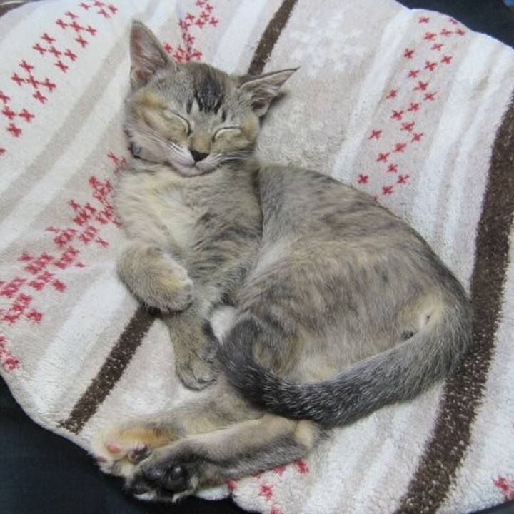 C61d868e ba51 4b0a aa72 fcac13d1d1e8 1576656970318