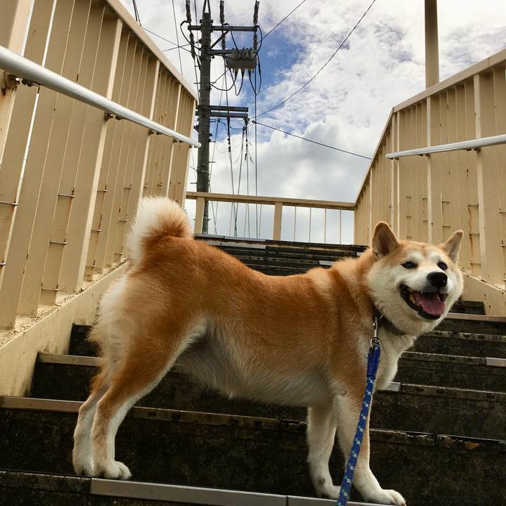 C61da029 240e 48ee 97da 05fb2b917f6a 1755262704914