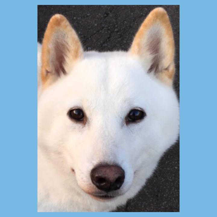 C61da05f b781 4e9f 9f2e 825d97dc9ba5 1591783850084