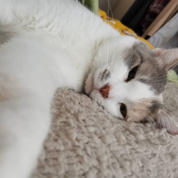 C61dfe0e 3dd3 4c90 8b89 e623fdab78b0 1644040787316