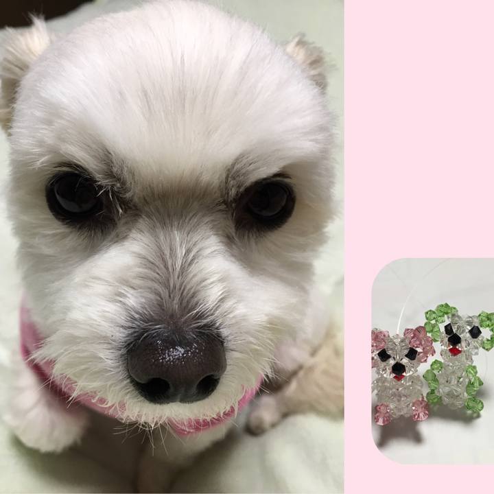 C61e0161 2b5f 452b b345 ffc1e7b7406a 1551526340978